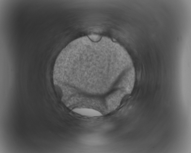 X0000088731393200706282114