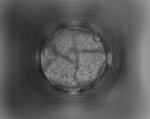 X0000088731395200706282114