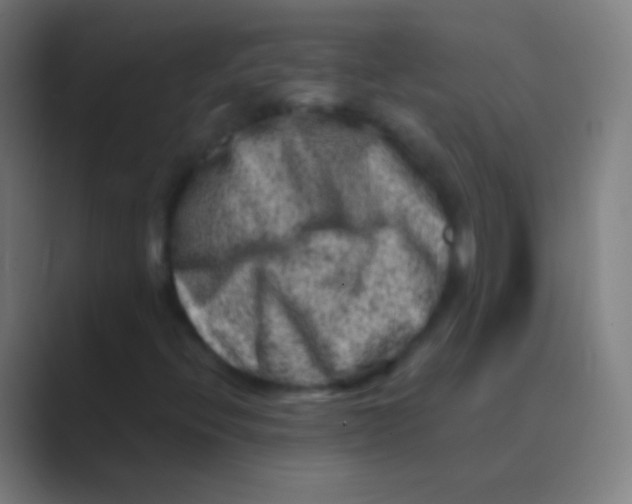 X0000088731396200706282114