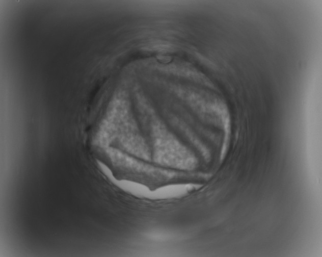 X0000088731397200706282114