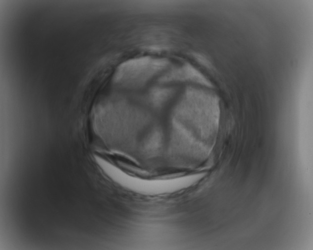 X0000088731398200706282114