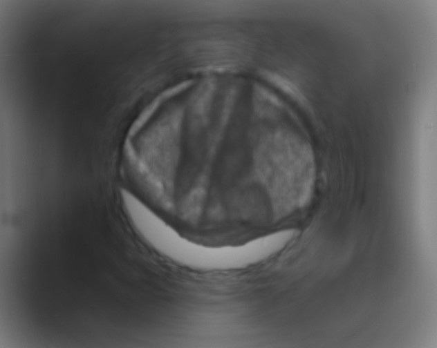 X0000088731399200706282114