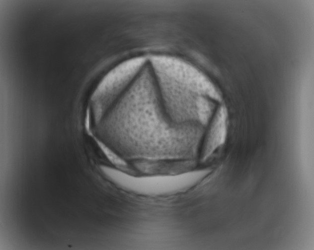 X0000088731400200706282114