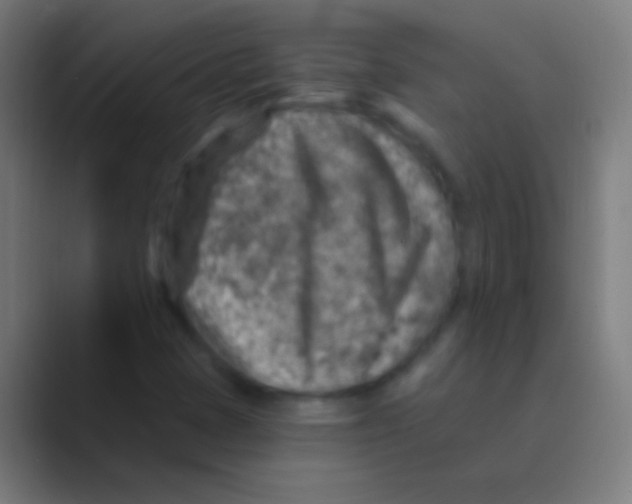 X0000088731401200706282114