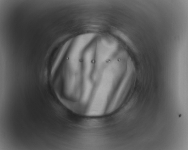 X0000088731402200706282115