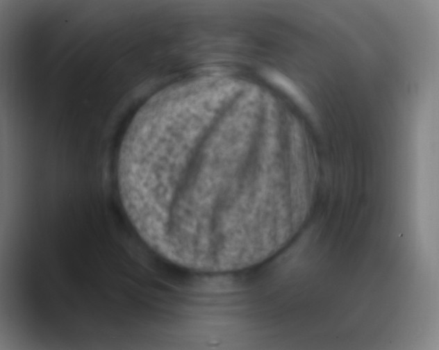 X0000088731403200706282115