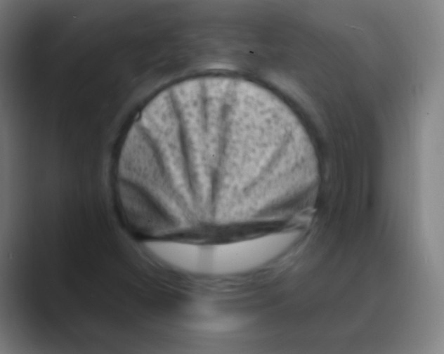 X0000088731404200706282115