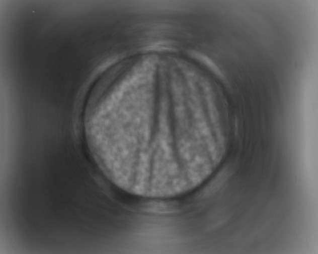 X0000088731405200706282115