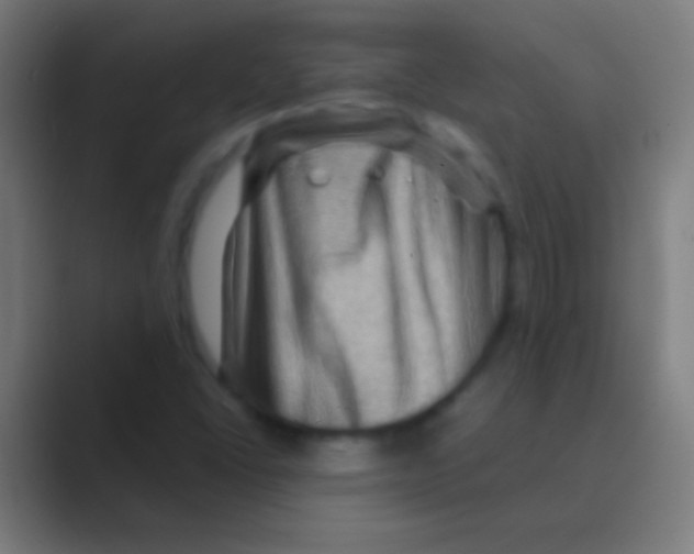 X0000088731406200706282115