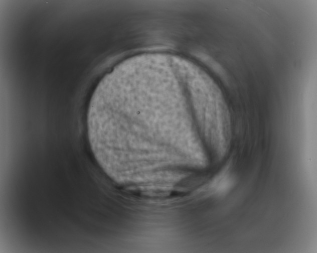 X0000088731407200706282115