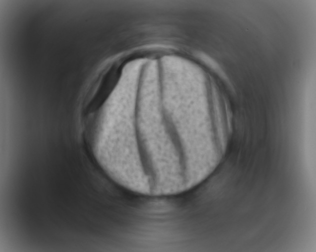 X0000088731408200706282115