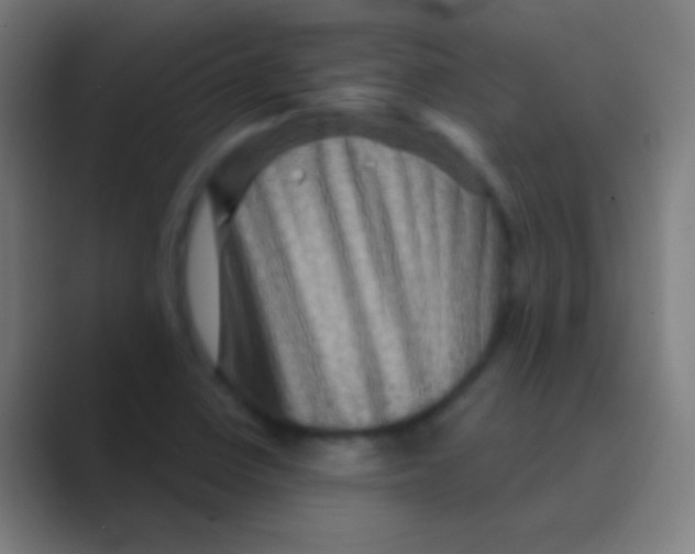 X0000088731410200706282115