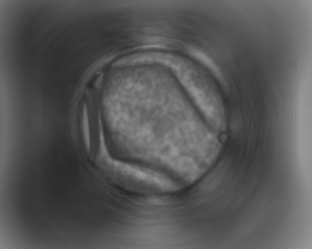 X0000088731411200706282115