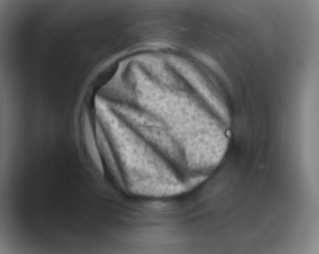 X0000088731412200706282115