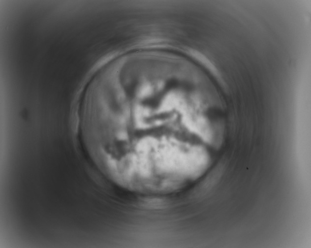 X0000088731413200706282115