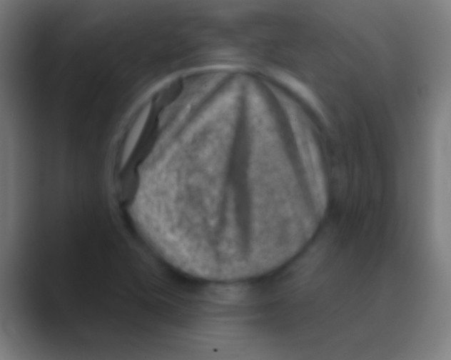 X0000088731415200706282115