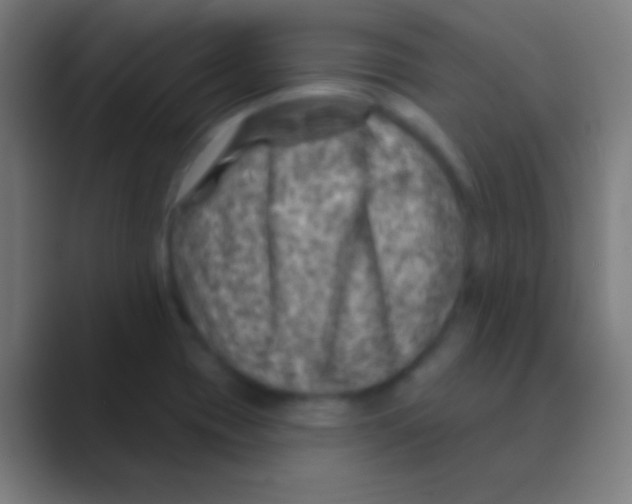 X0000088731417200706282115