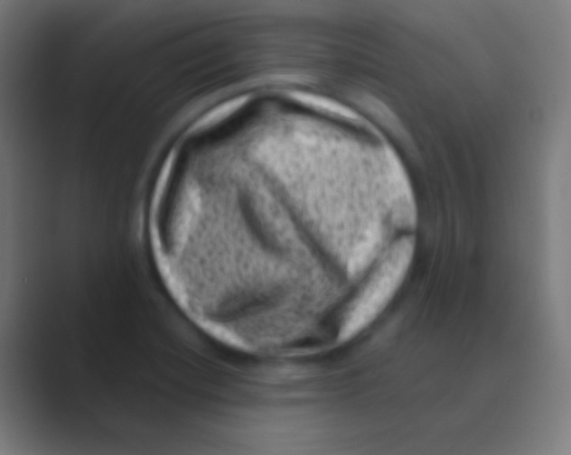 X0000088731420200706282115