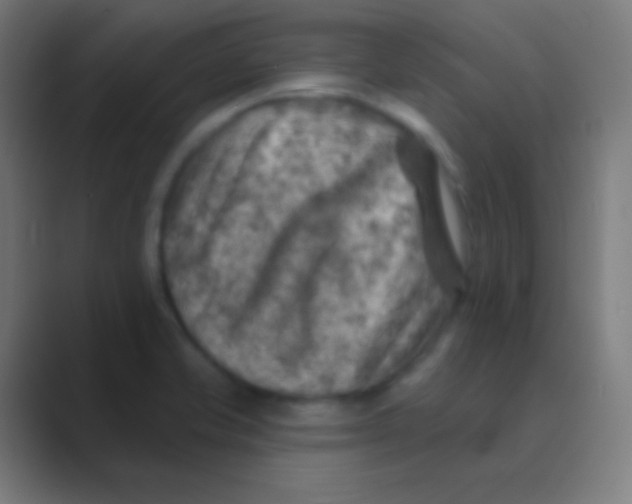 X0000088731421200706282115