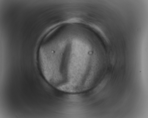 X0000088731422200706282115