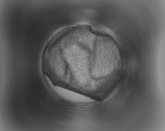 X0000088731423200706282115