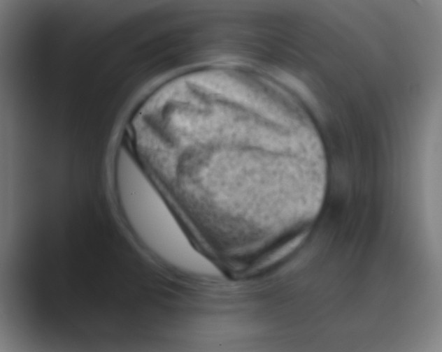 X0000088731424200706282115