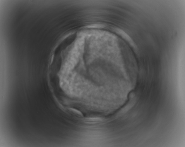 X0000088731425200706282115