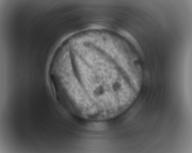 X0000088731427200706282115