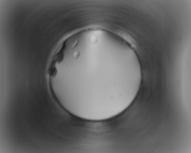 X0000088731428200706282115