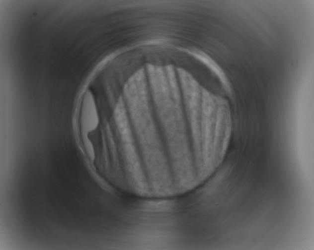 X0000088731429200706282115