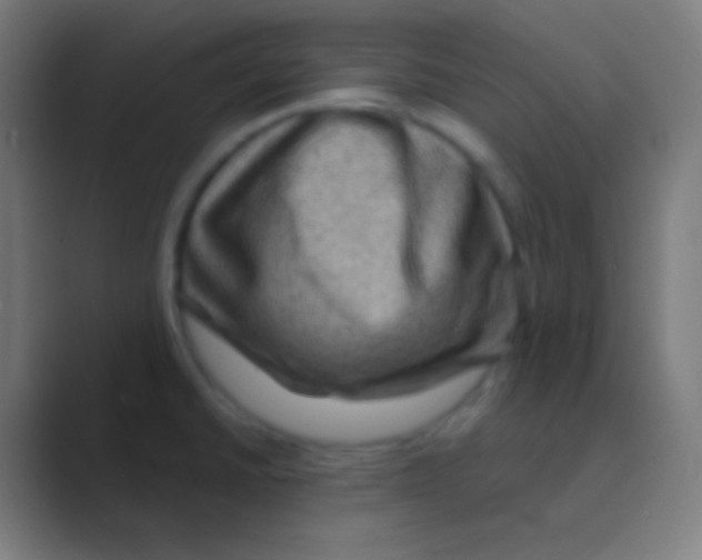 X0000088731430200706282115