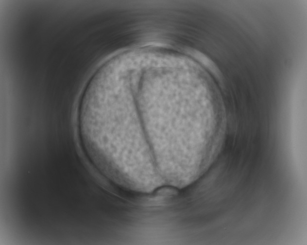 X0000088731431200706282115