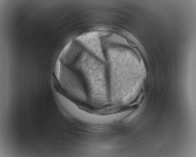 X0000088731433200706282115