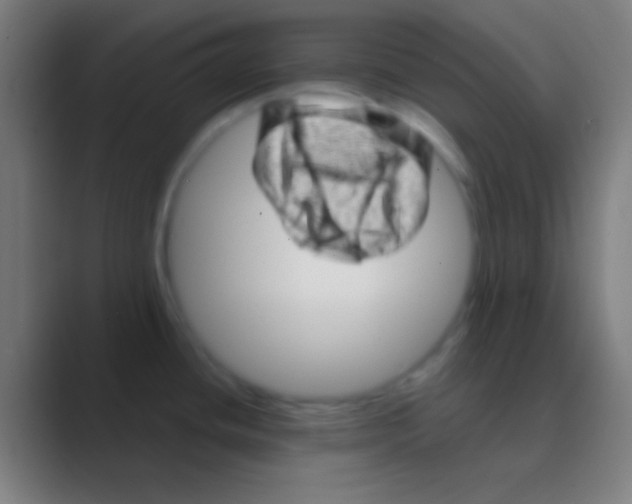 X0000088731436200706282115