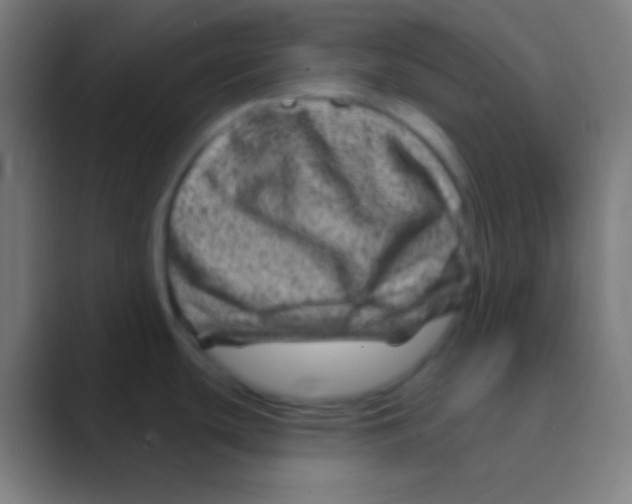 X0000088731439200706282115