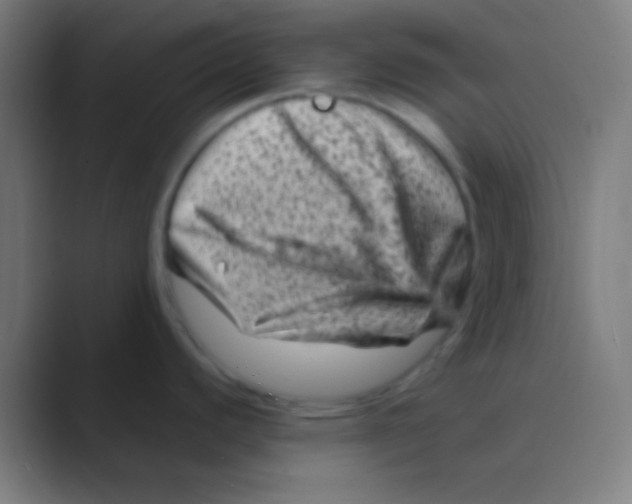 X0000088731440200706282115