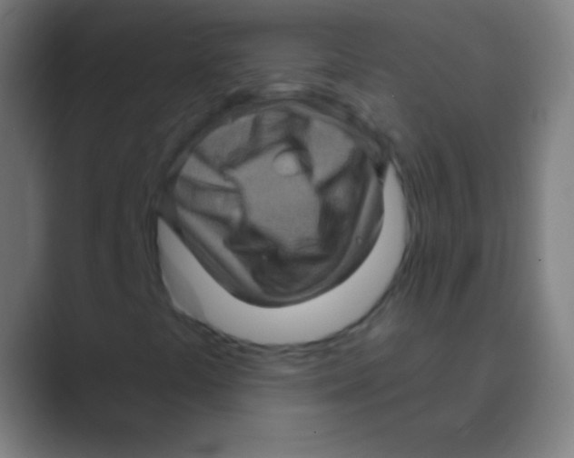 X0000088731441200706282114