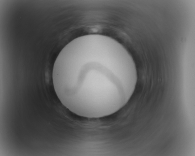 X0000088731442200706282114