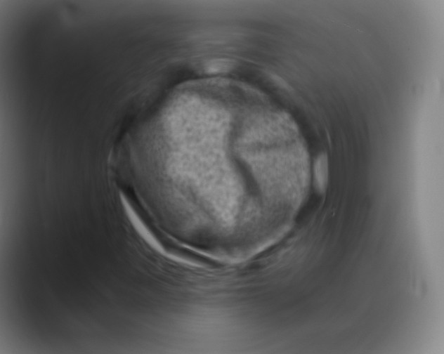 X0000088731443200706282114