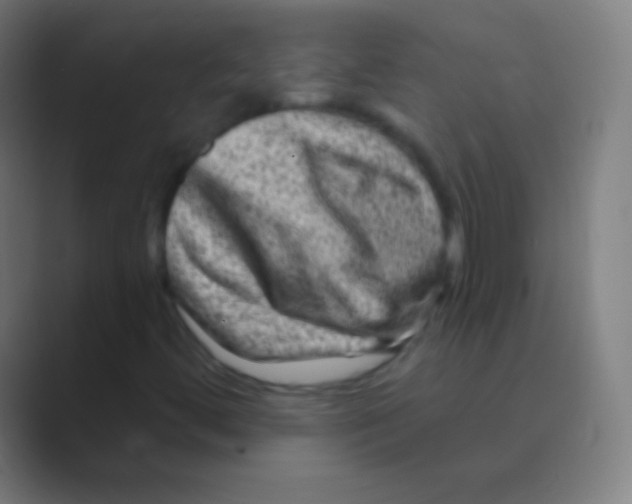 X0000088731444200706282114