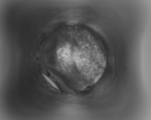 X0000088731445200706282114