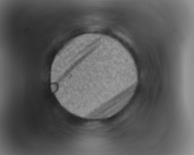 X0000088731447200706282114