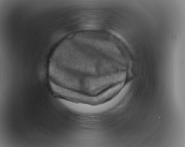 X0000088731450200706282114