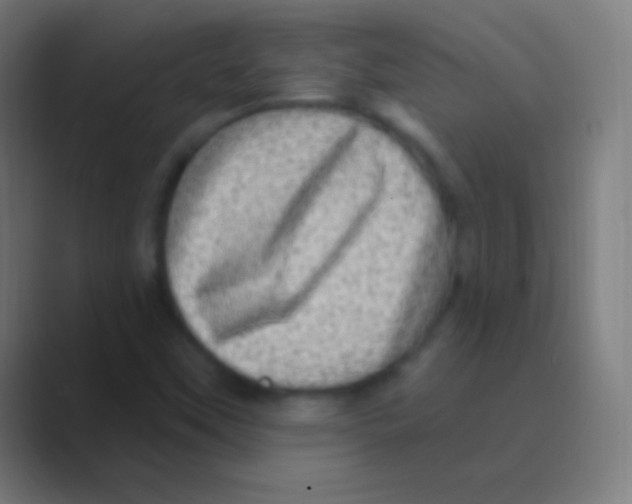 X0000088731451200706282114