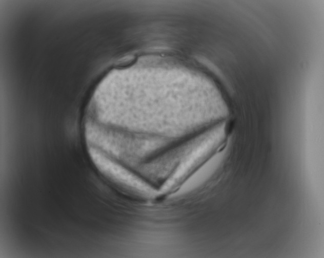 X0000088731452200706282114