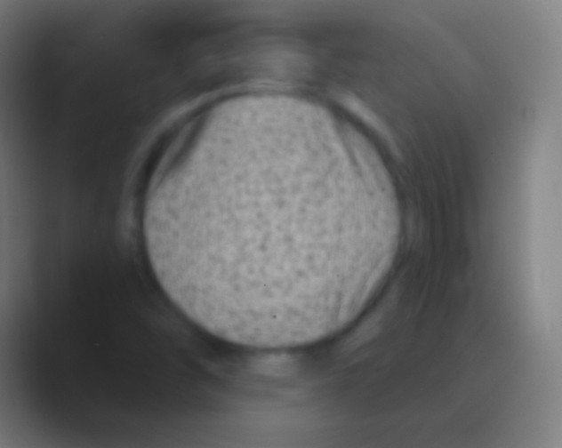 X0000088731454200706282114