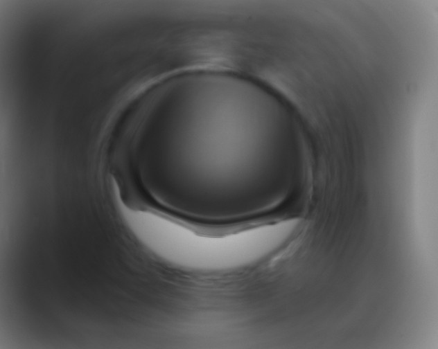 X0000088731455200706282114