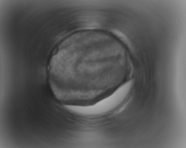 X0000088731457200706282114