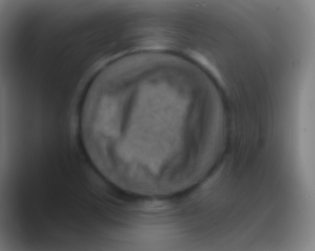 X0000088731459200706282114