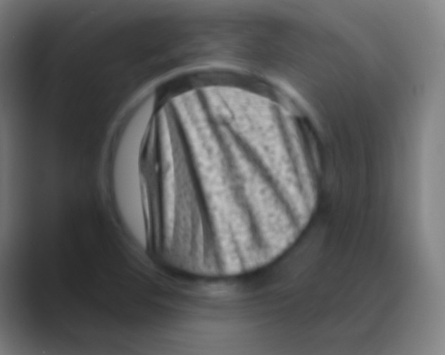 X0000088731460200706282114